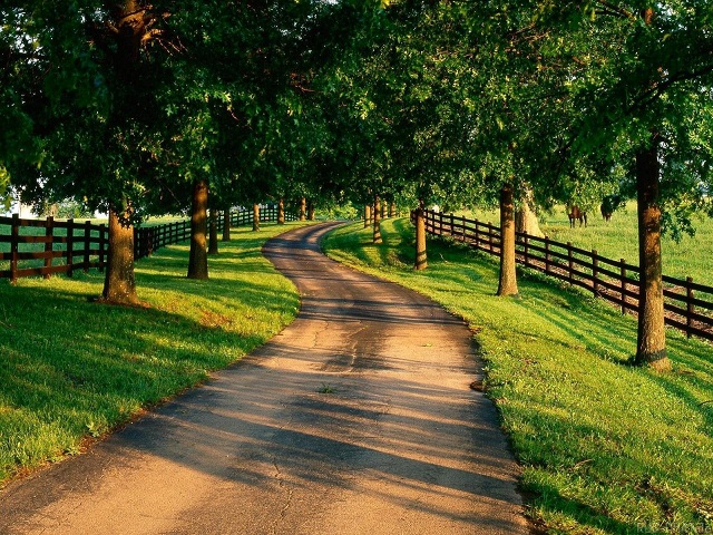 ddos攻击在哪能买到